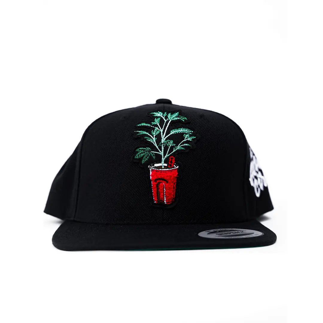 Cup Snapback The Grower Circle