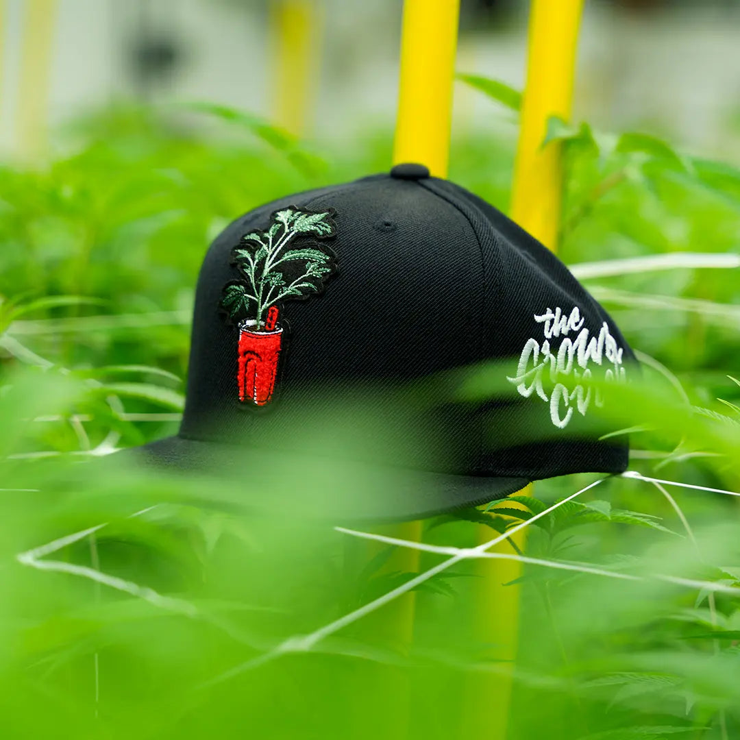 Cup Snapback The Grower Circle
